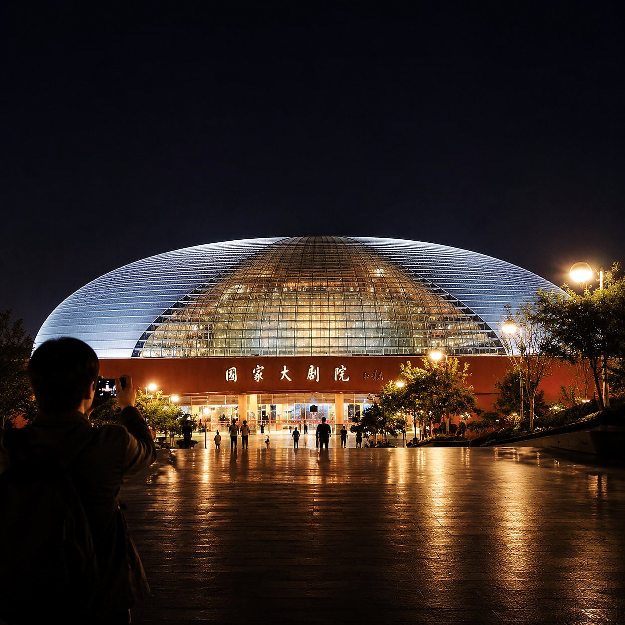Beijing Night Layover Tour — 04 national centre performing arts night