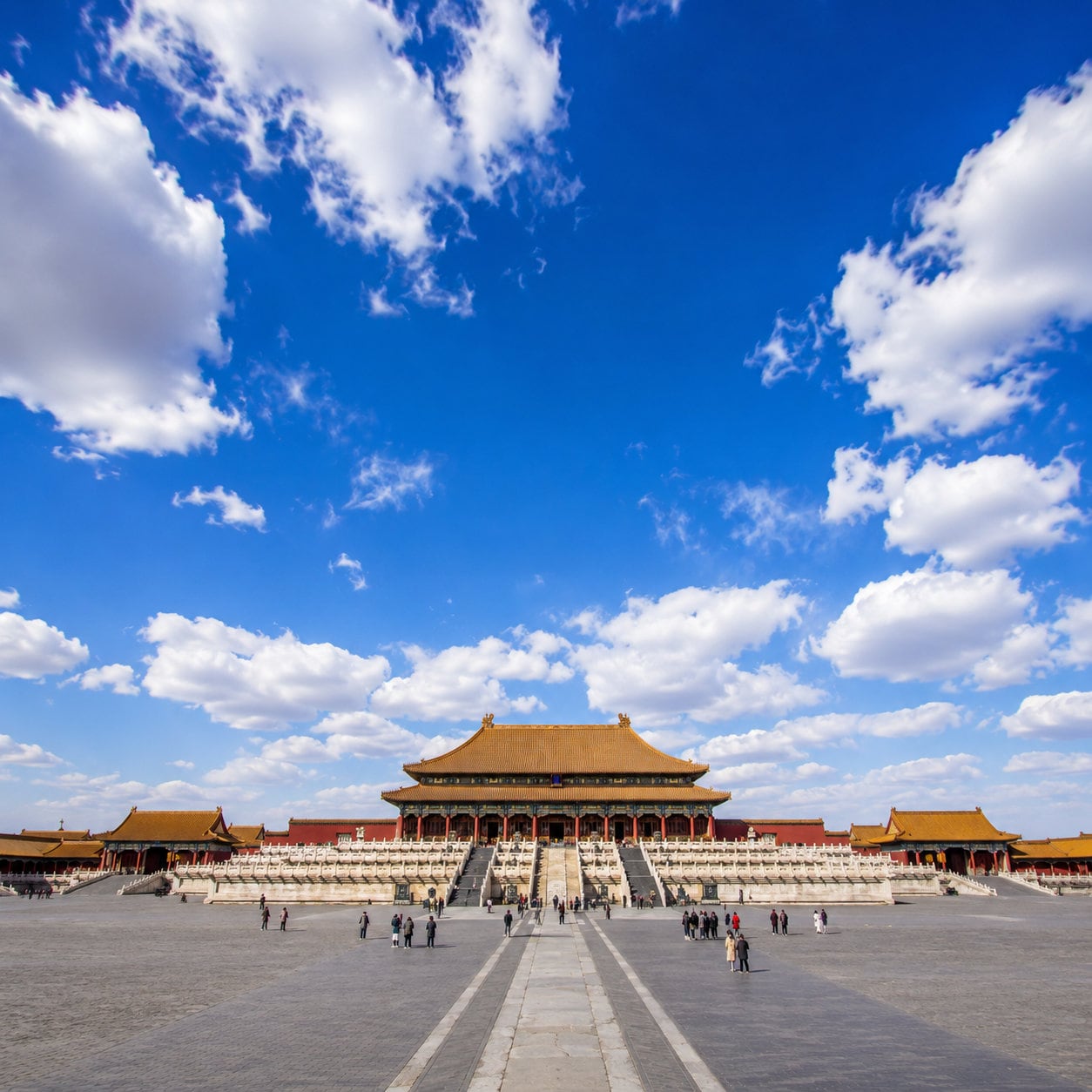 Forbidden City Half-Day Private Tour
