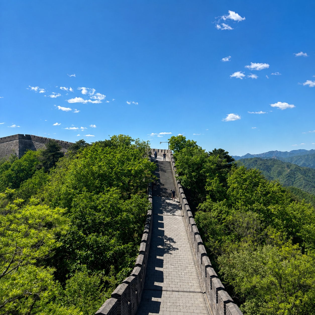 Mutianyu Great Wall Half-Day Private Tour — 03 mutianyu great wall summer