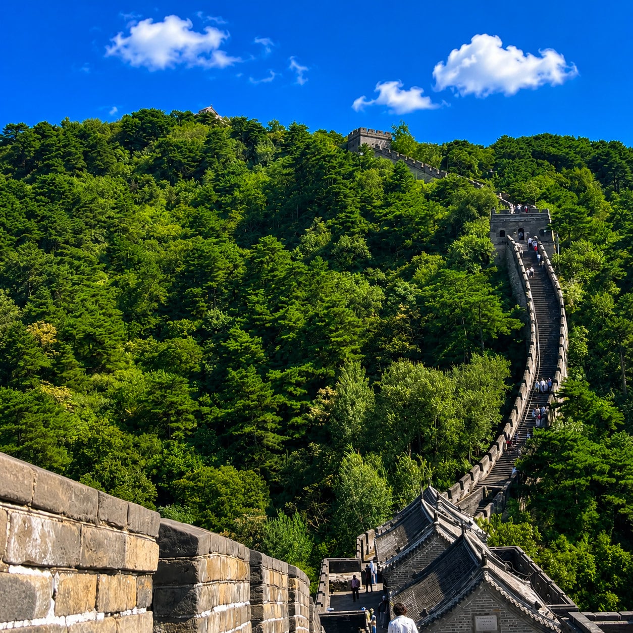 Mutianyu Great Wall & Summer Palace Private Day Tour — 01 mutianyu great wall green mountains